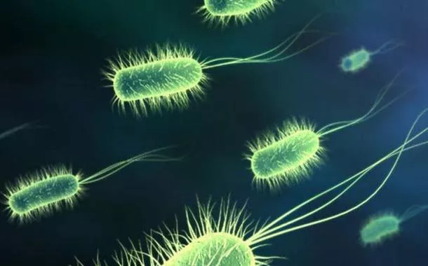 Bactéria de 5 mil anos encontrada no gelo resiste a antibióticos e preocupa cientistas