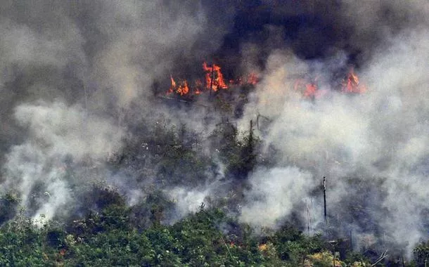 Incêndios na Amazônia aumentambet 365 entrarjulho, com piora nos últimos dias do mês