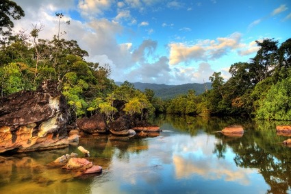 Floresta pluvial em Madagascar