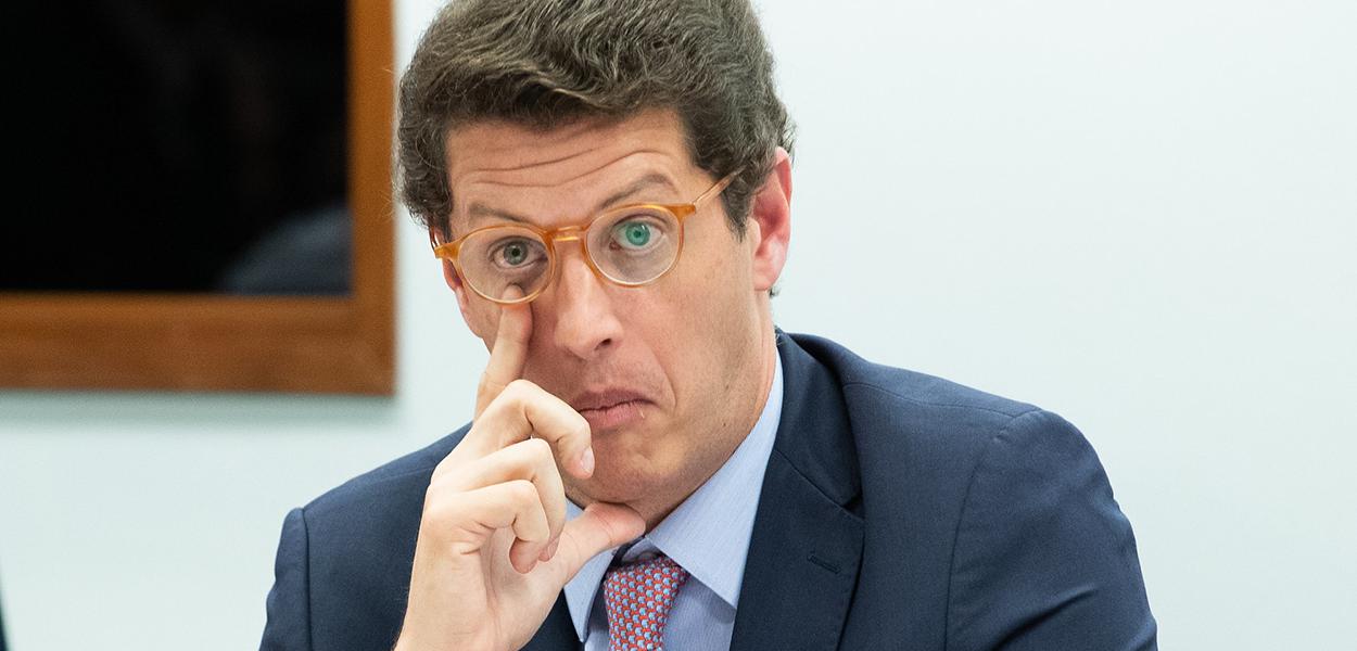 Ricardo Salles deve ser retirado imediatamente do Ministério de Meio  Ambiente - Greenpeace Brasil