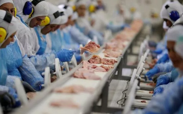 Japão suspende compras de carne de frango do ES após gripe aviária em fundo de quintal