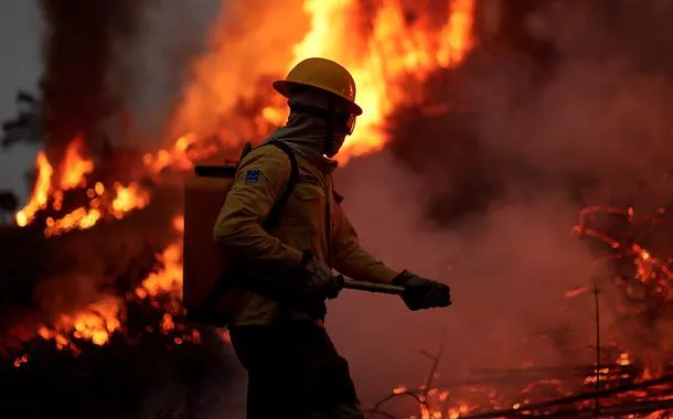 Tecnologia brasileira previne incêndios florestais pelo mundo