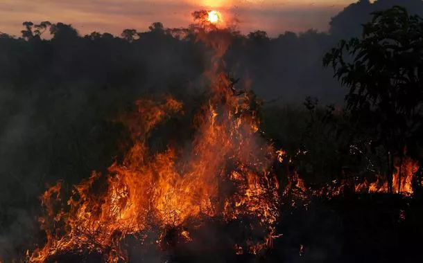 Amazônia: incêndio em área de floresta madura cresceu 152% em 2023