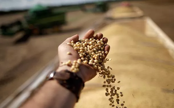 Ministério da Agricultura aproveita Cúpula do BRICS para abrir novos mercados