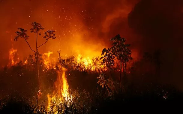 Fumaça e chamasjogar dominó nas apostas on linequeimada no Pantanal, no Mato Grosso