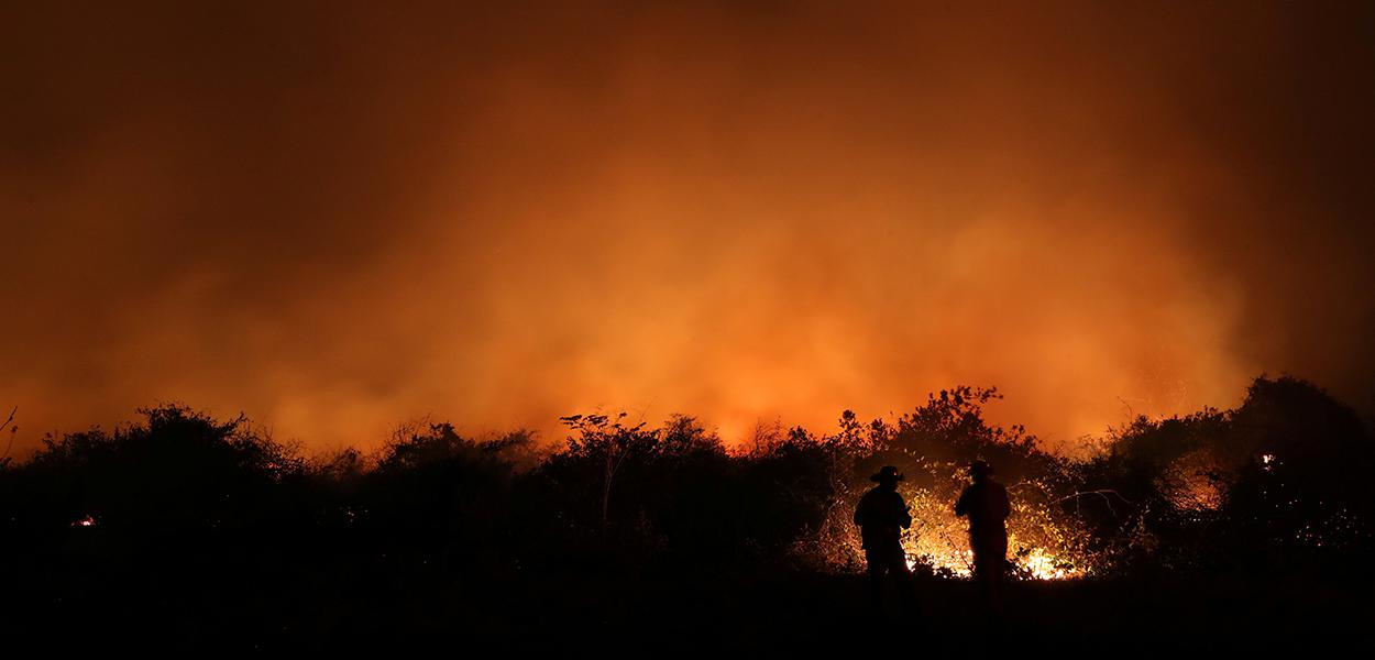 El Niño pode potencializar fogo na Amazônia, alertam cientistas - Amazônia  Real