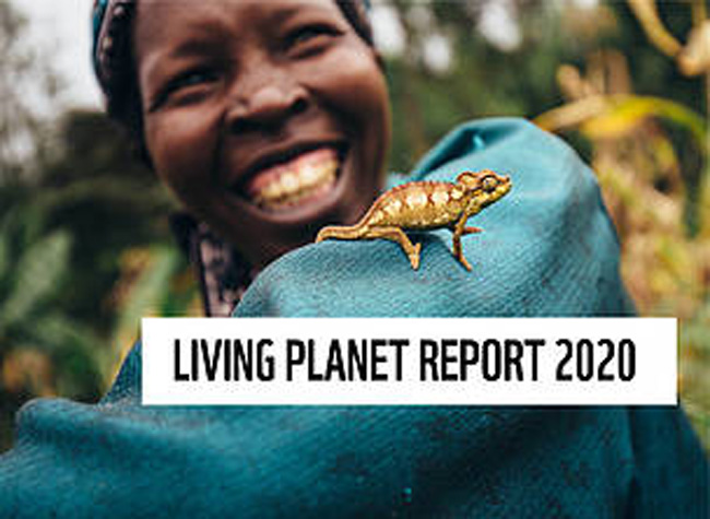Índice Planeta Vivo 2020