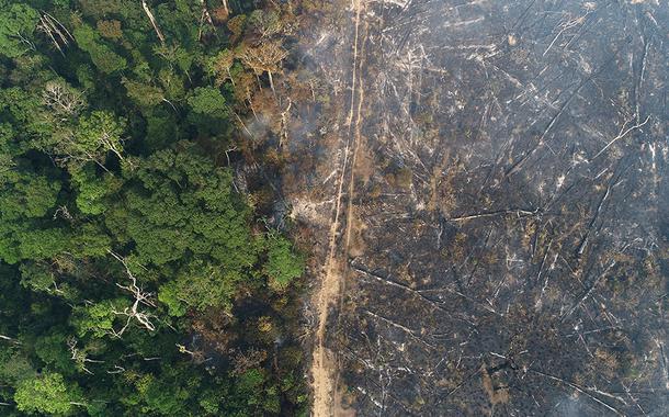 Vista aérea da Amazônia após queimadas perto de Apuí, no Amazonas