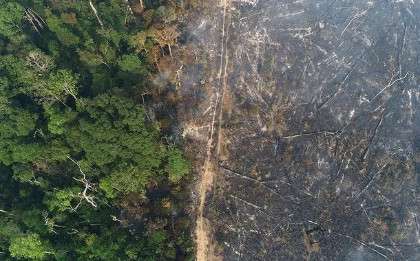 Vista aérea da Amazônia após queimadas pertobbb 365 betApuí, no Amazonas