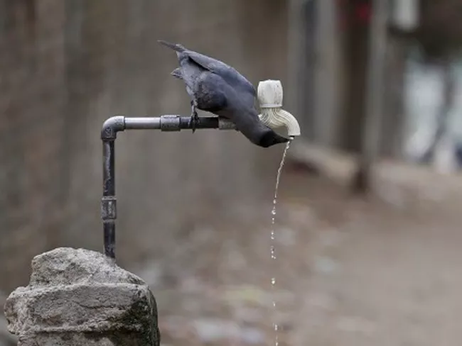 Água: da exploração à autogestão comunitária (o Fórum Mundial da Água)