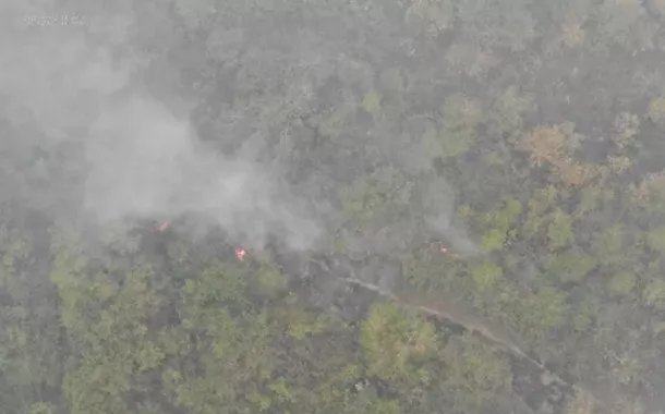 O que podemos fazer para salvar o Pantanal?