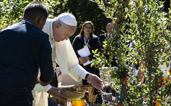 Papa Francisco regando o jardim