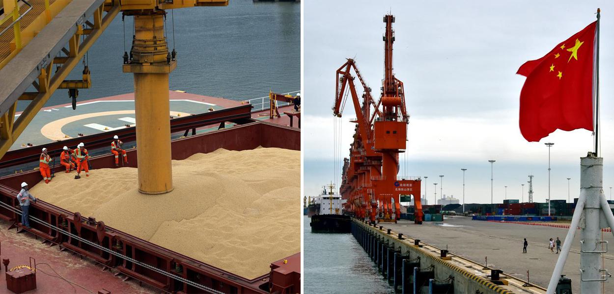 Maior importadora mundial de soja, a China está abrindo seu mercado para a Tanzânia em um esforço para reduzir sua dependência do Brasil e dos EUA