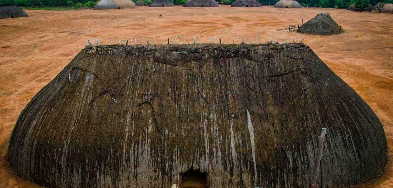 A força indígena na democracia brasileira