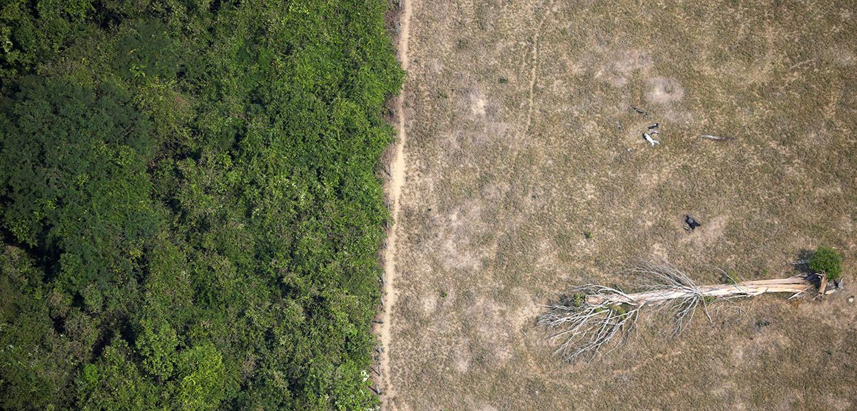 Em 10 anos, fazendeiros jogaram agrotóxicos sobre 30 mil