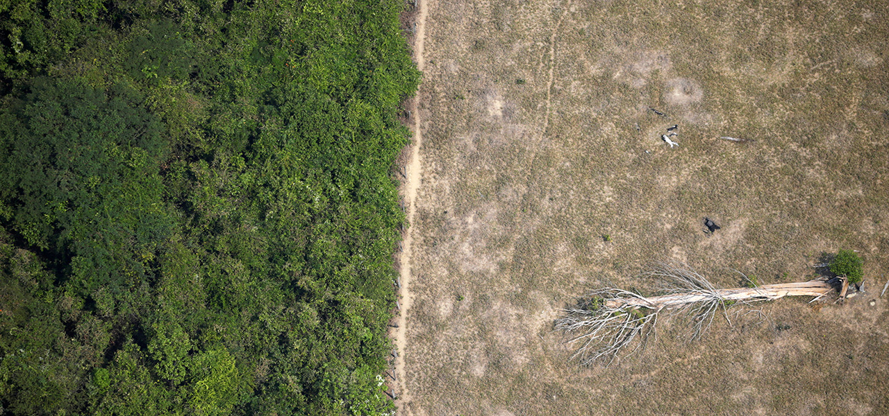 Área desmatada da Amazônia perto de Porto Velho, em Rondônia