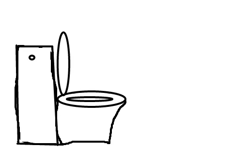 Jogar sal no vaso sanitário vira tendência nas redes sociais; prática é positiva?