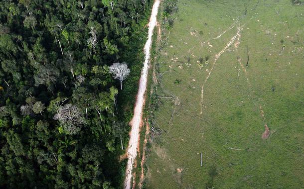 Avanço da pastagem na Amazônia