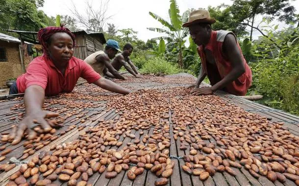 Cacau em Gana