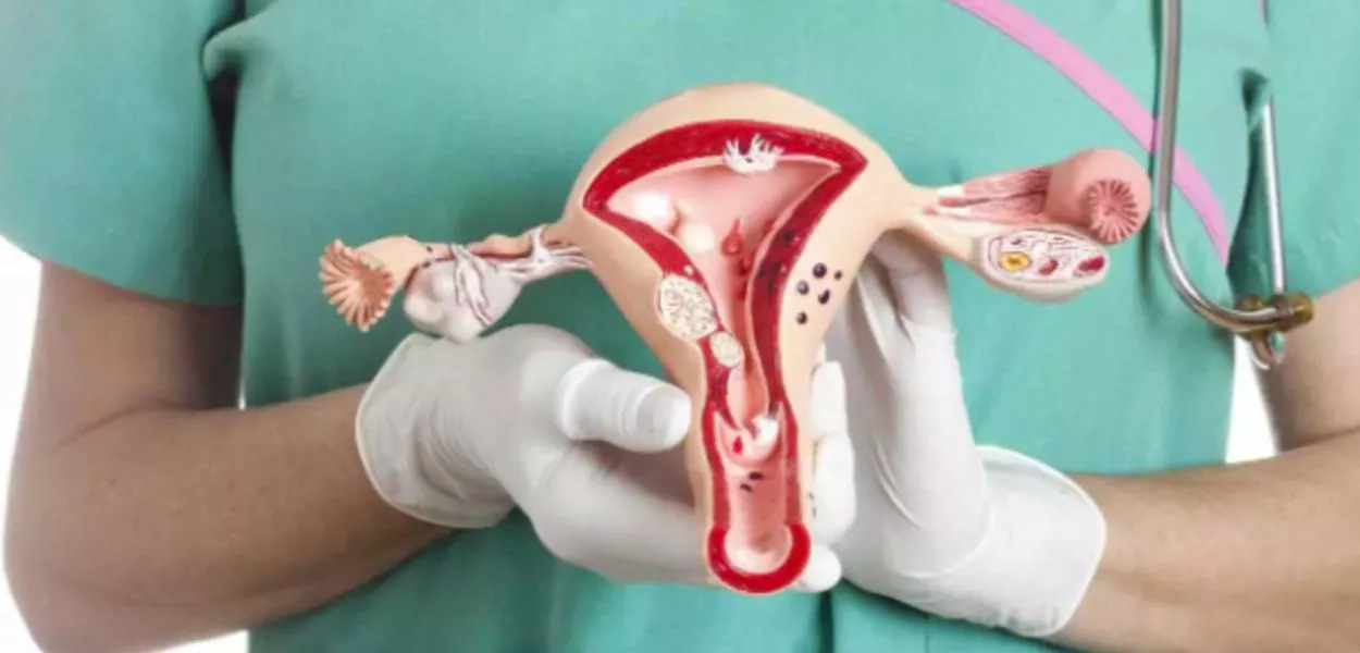Brasil realiza primeiro transplante de útero entre pacientes vivas na América Latina