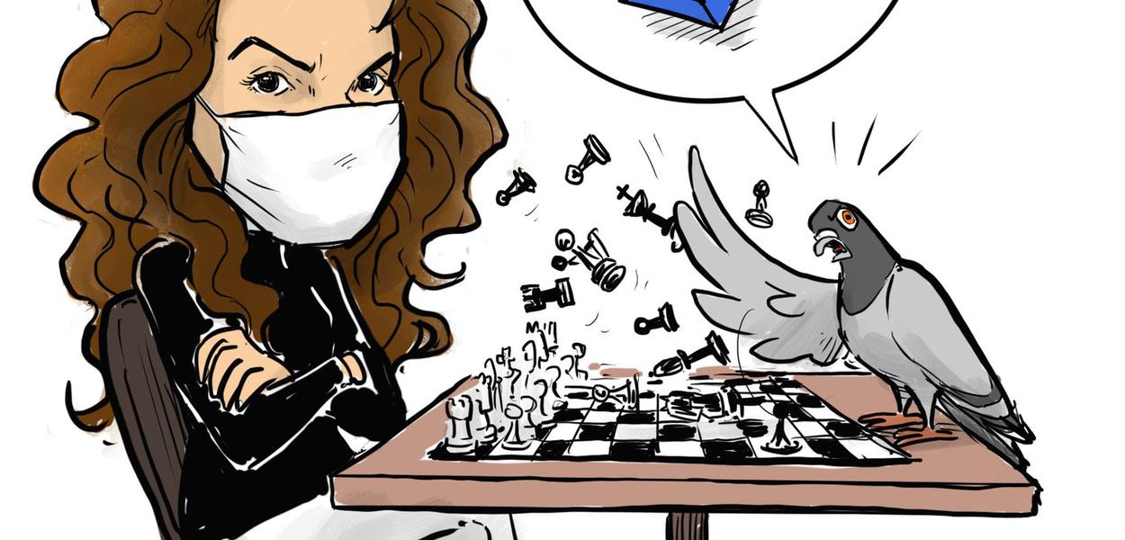 Pombo jogando xadrez  Jogando xadrez com um pombo (debatend