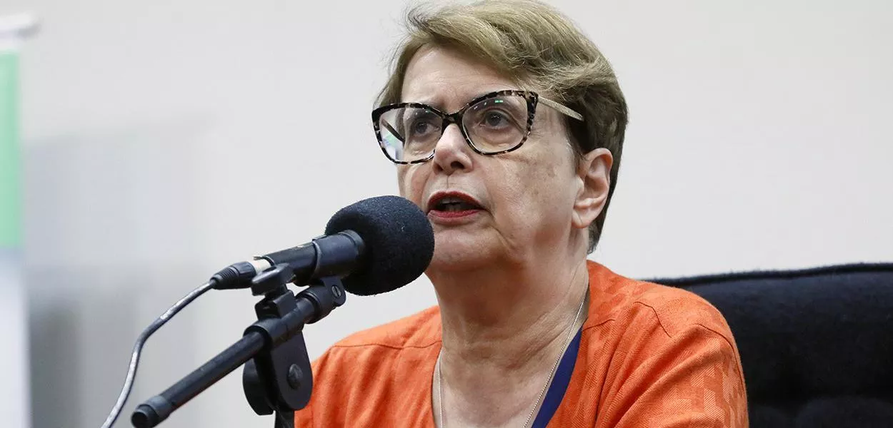 Margarida Salomão