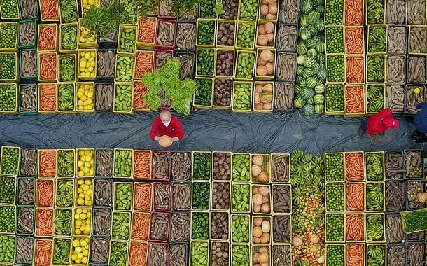 Governo lança Plano Safra nesta quarta; produção de grãos como o arroz e práticas sustentáveis estão entre as metas