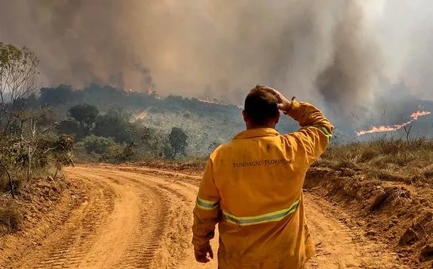 Incêndio florestal