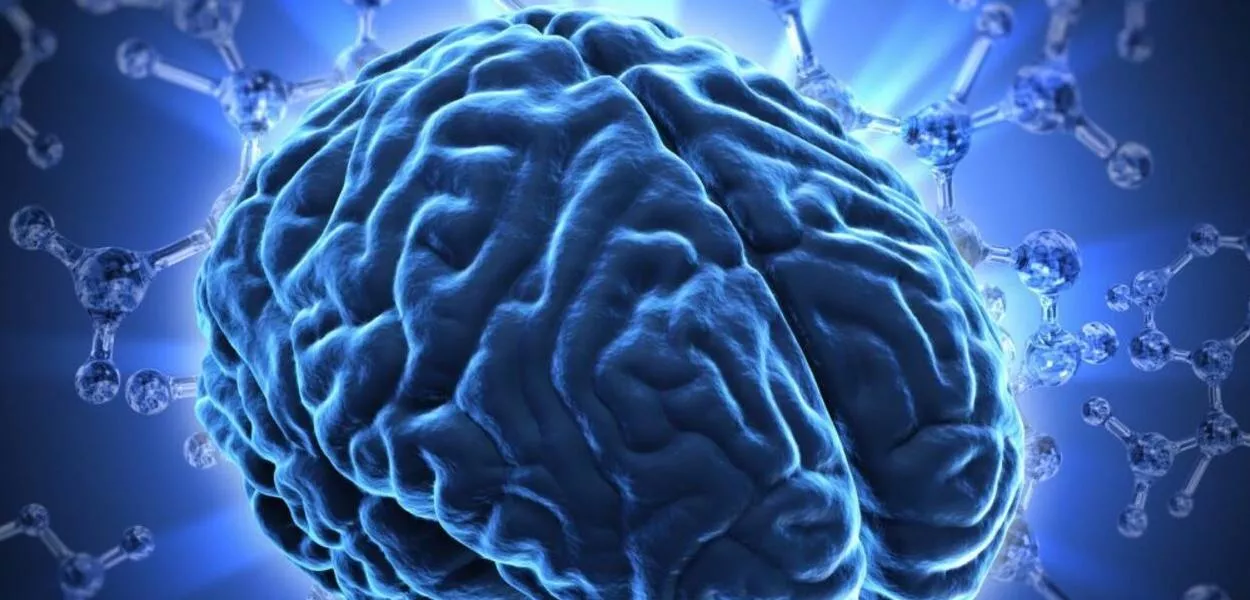 Mulheres consomem ovos de tênia comprados na dark web para emagrecer; entenda riscos de infecção cerebral