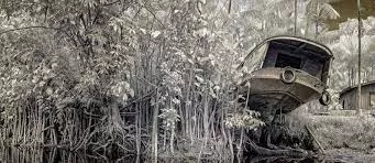 Foto de Antônio Saggese, em cartaz na exposição "Hiléia"