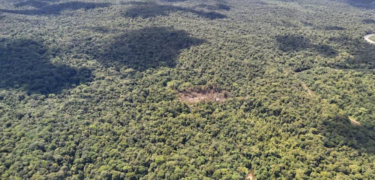 (Foto: Divulgação)