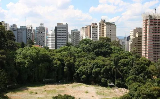 IBGE lança proposta para mapear áreas verdes urbanas no Brasil