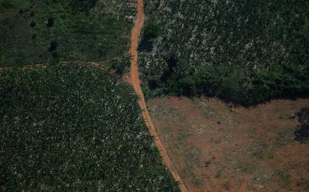 O que está faltando para encararmos o desenvolvimento sustentável?