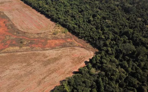 Ruralistas querem derrubar norma que reduz o desmatamento no Brasil