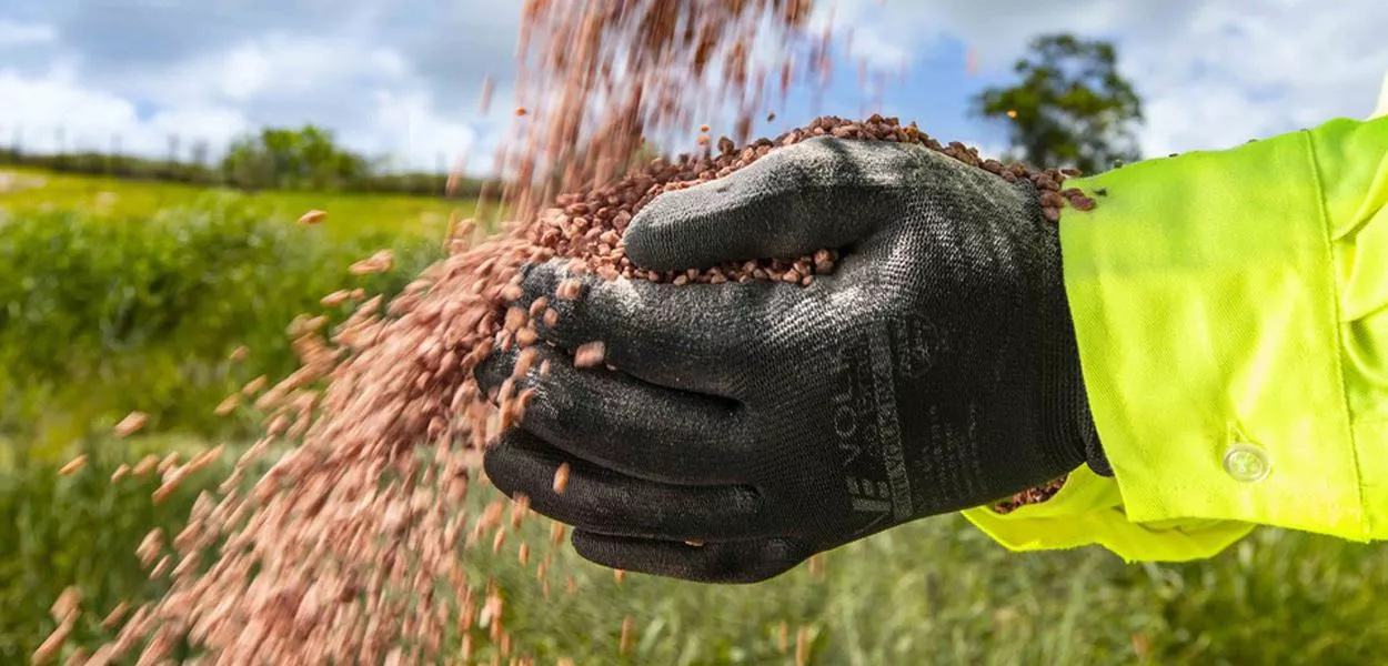 Fertilizantes