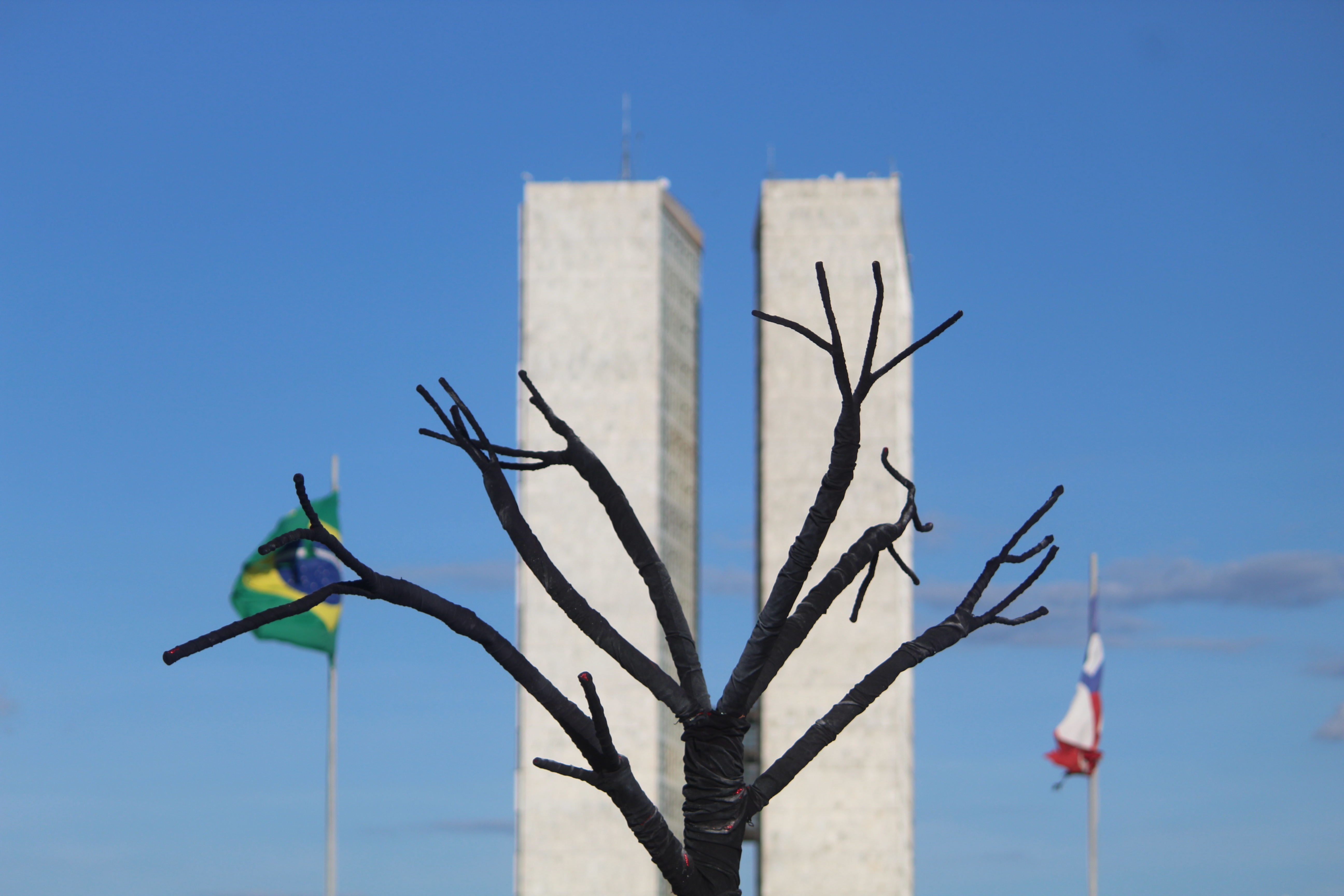 brasilia-ato-pela-terra