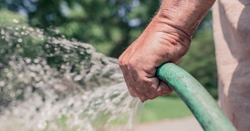 Descubra qual é o melhor horário para regar as plantas