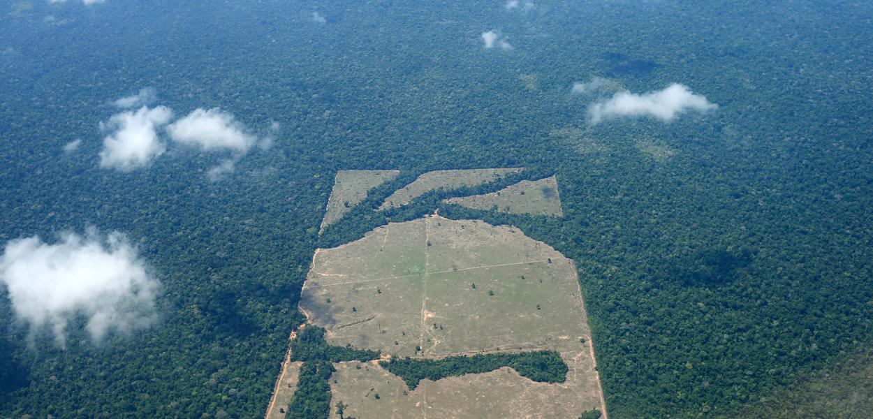 Colniza registra maior área contínua desmatada na Amazônia em 2022 :  Instituto Centro de Vida