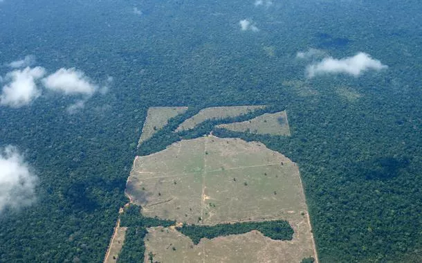 Desmatamento na Amazônia tem queda recorde em fevereiro, segundo Inpe