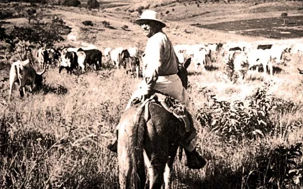 Há 70 anos, a travessia de Guimarães Rosa pelas veredas fez brotar um grande sertão