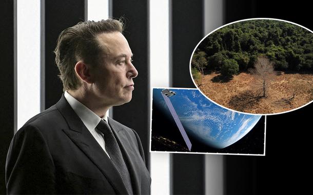 Starlink desafia STF e mantém acesso ao X em sua plataforma