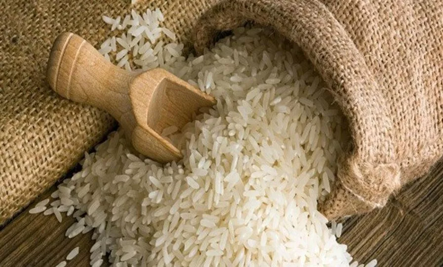 Conab anuncia R$300 mi para apoiar produtores de arroz no Brasil