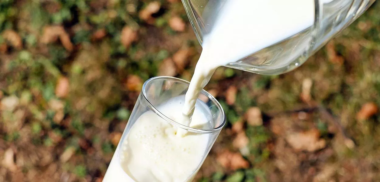 Cooperativa da reforma agrária busca investidores para produção de leite orgânico