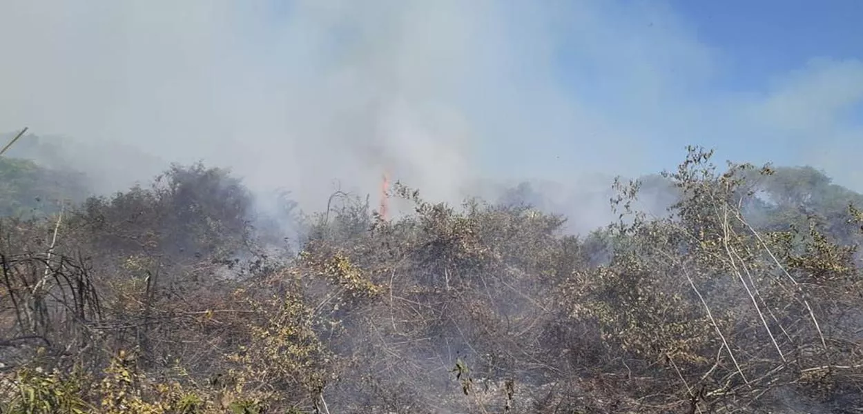 Emergência climática: o papel da engenharia e o desafio da transformação ecológica
