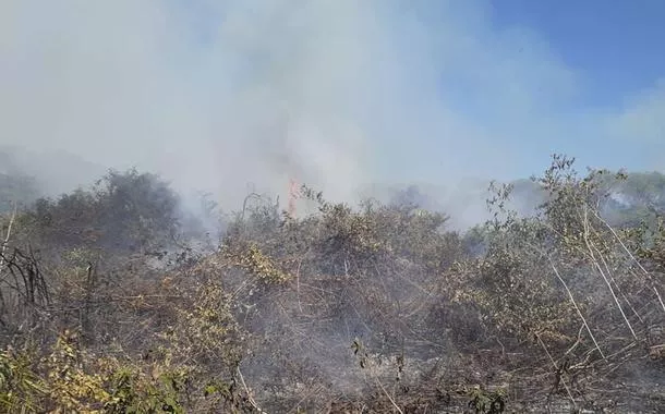 Emergência climática: o papel da engenharia e o desafio da transformação ecológica