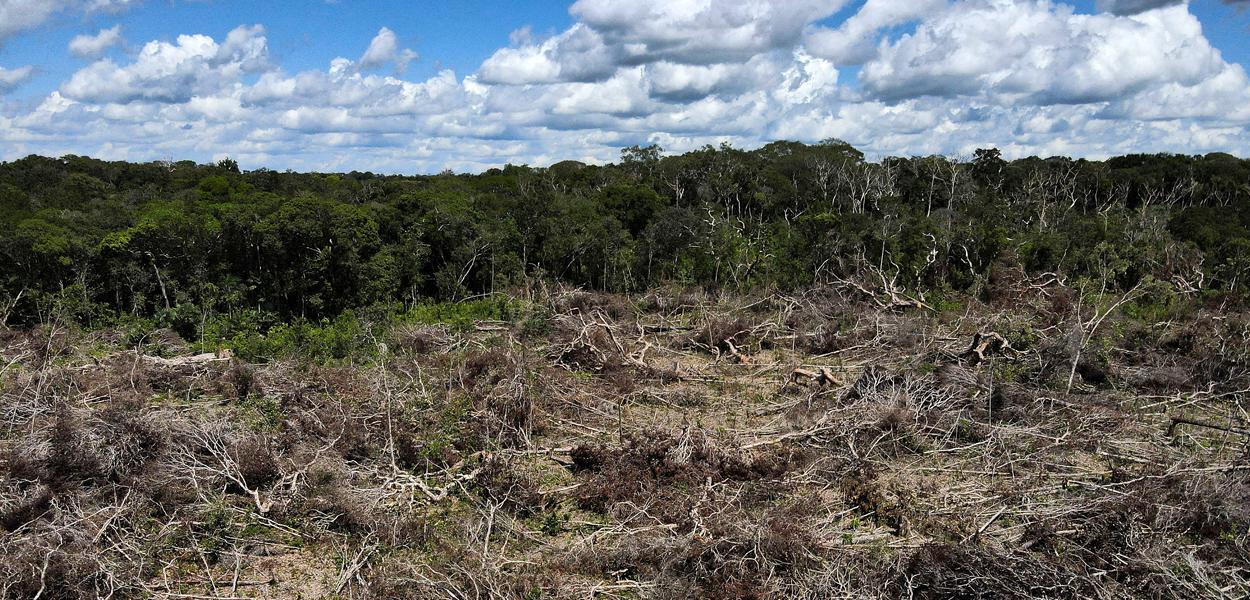 Vista aérea de área desmatada da floresta amazônica em Manaus