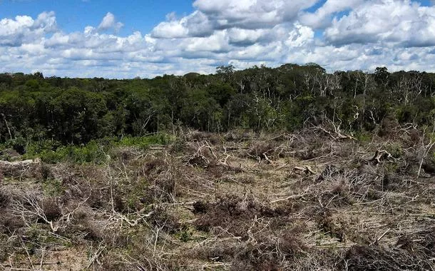 Vista aérea de área desmatada da floresta amazônica em Manaus 