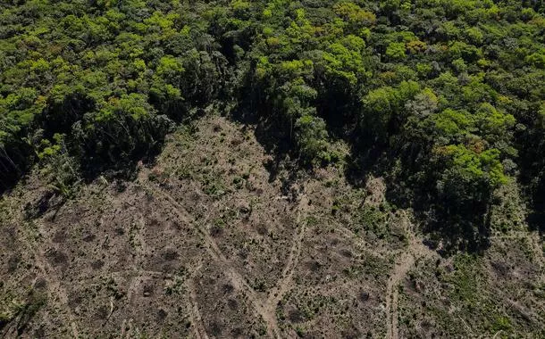Brasil pede à UE que não implemente lei antidesmatamento a partir do final de 2024