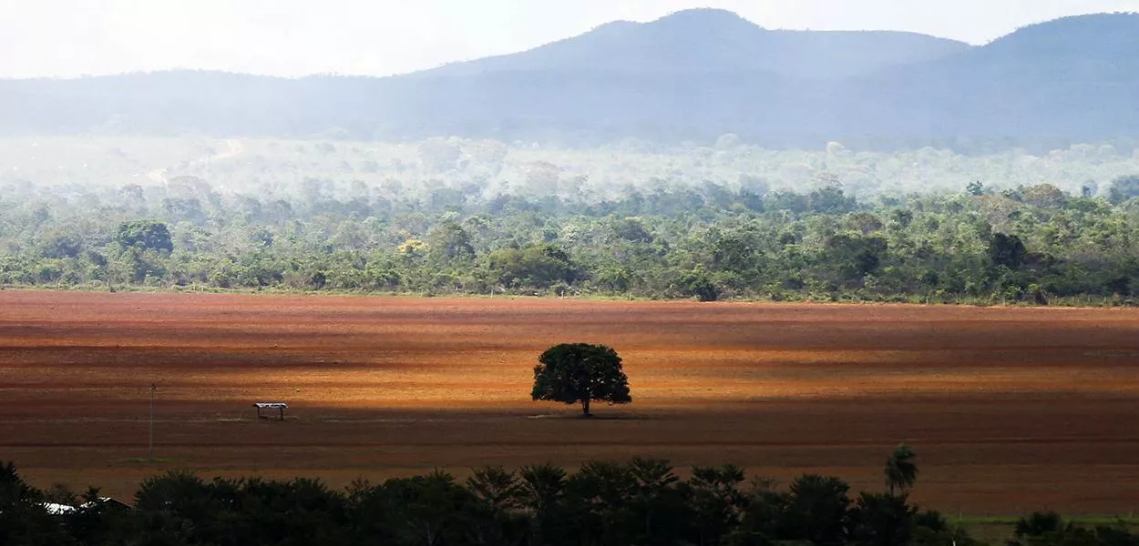 Alto Paraíso (GO) - Área de cerrado desmatada para plantio no município de Alto Paraíso