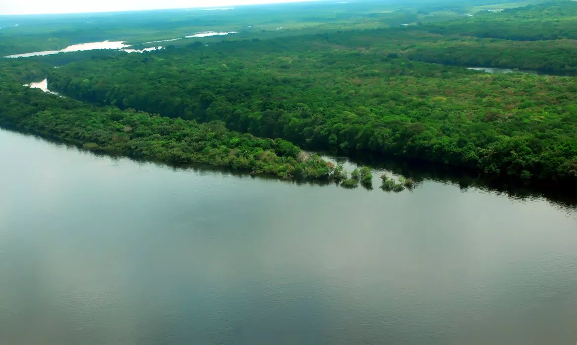 BNDES financia R$ 23 milhões para manejo florestal sustentável e certificado no Amazonas
